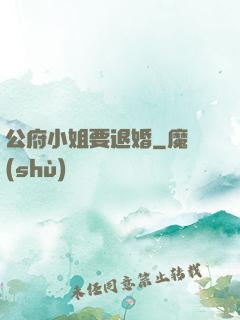 公府小姐要退婚