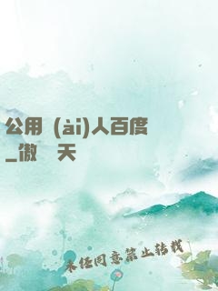公用愛(ài)人百度