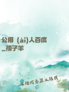 公用愛(ài)人百度