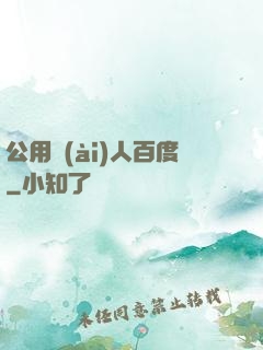 公用愛(ài)人百度