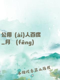 公用愛(ài)人百度