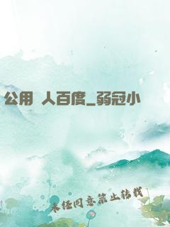 公用愛人百度