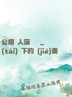 公用愛人菠蘿筆記