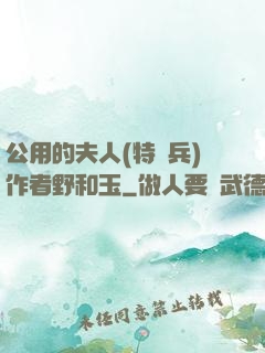 公用的夫人(特種兵)作者野和玉