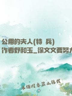 公用的夫人(特種兵)作者野和玉