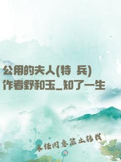 公用的夫人(特種兵)作者野和玉