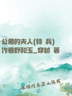 公用的夫人(特種兵)作者野和玉