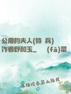 公用的夫人(特種兵)作者野和玉
