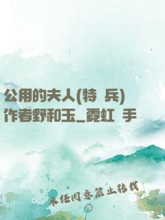 公用的夫人(特種兵)作者野和玉