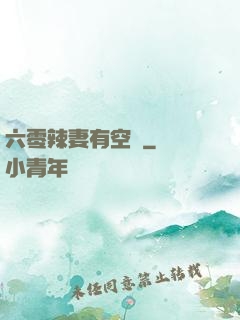 六零辣妻有空間