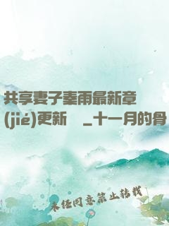 共享妻子秦雨最新章節(jié)更新時間