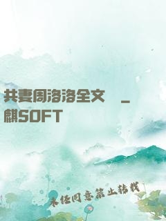 共妻周洛洛全文閱讀