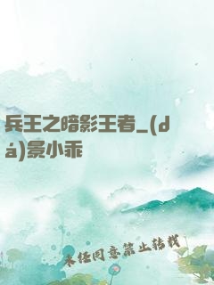 兵王之暗影王者