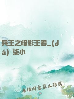 兵王之暗影王者
