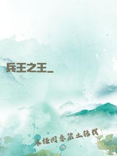 兵王之王