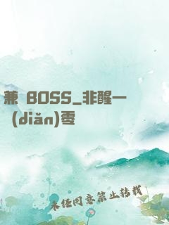 兼職BOSS