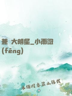 兼職大明星