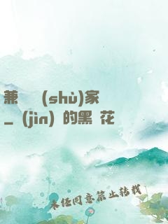 兼職藝術(shù)家