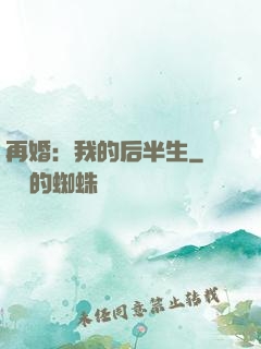 再婚：我的后半生