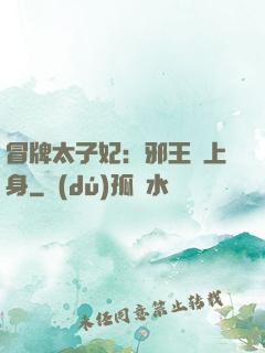 冒牌太子妃：邪王寵上身