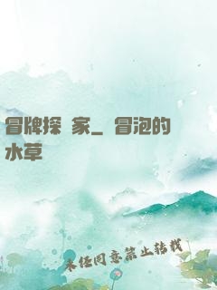 冒牌探險家