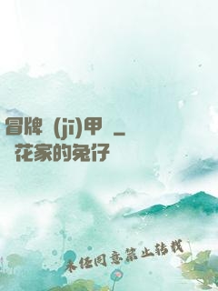 冒牌機(jī)甲師