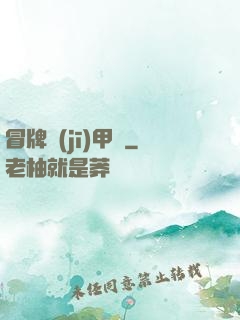 冒牌機(jī)甲師