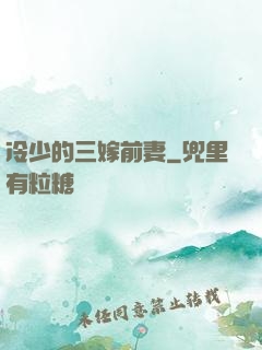 冷少的三嫁前妻