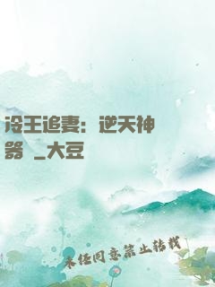 冷王追妻：逆天神級煉器師
