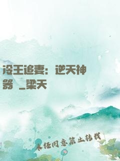 冷王追妻：逆天神級煉器師