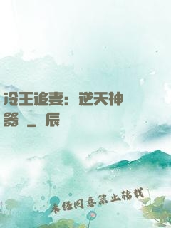 冷王追妻：逆天神級煉器師