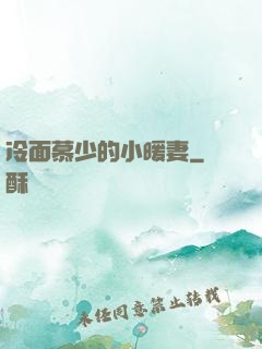 冷面慕少的小暖妻