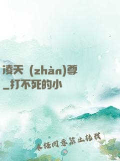 凌天戰(zhàn)尊