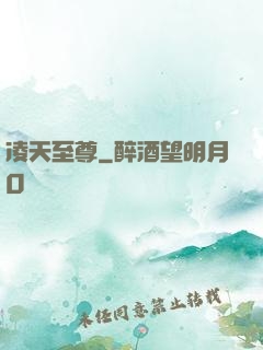 凌天至尊