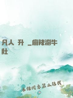 凡人飛升錄