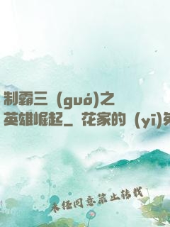 制霸三國(guó)之英雄崛起