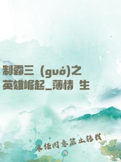 制霸三國(guó)之英雄崛起