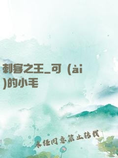刺客之王