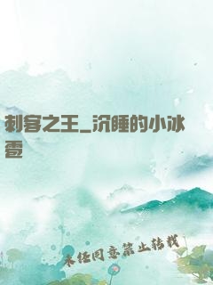 刺客之王