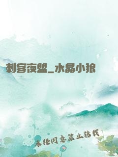 刺客夜盟
