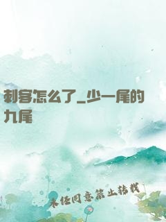 刺客怎么了