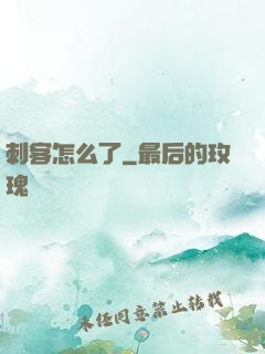 刺客怎么了