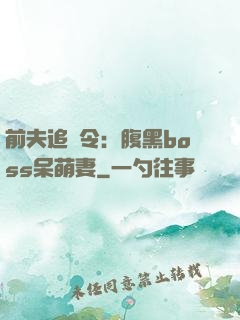 前夫追緝令：腹黑boss呆萌妻