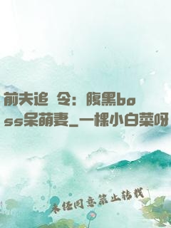 前夫追緝令：腹黑boss呆萌妻