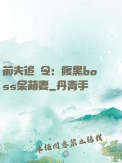 前夫追緝令：腹黑boss呆萌妻