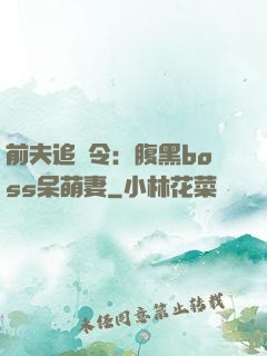 前夫追緝令：腹黑boss呆萌妻