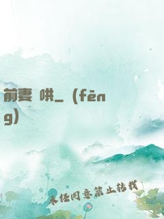 前妻難哄