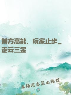 前方高能，玩家止步