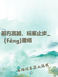 前方高能，玩家止步