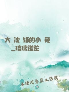 劉大壯沈麗娟的小說免費閱讀